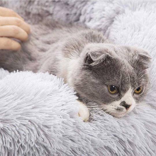 KATZELIEBE™ Katzenbett Wolke 7 - das Original®