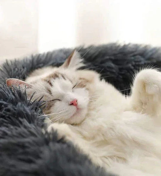 KATZELIEBE™ Katzenbett Wolke 7 - das Original®