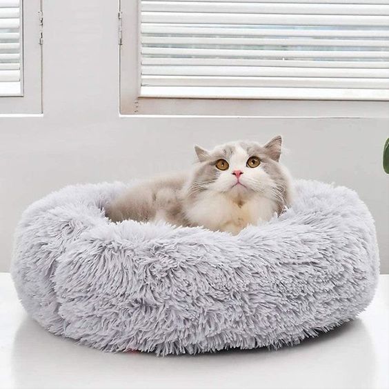 KATZELIEBE™ Katzenbett Wolke 7 - das Original®