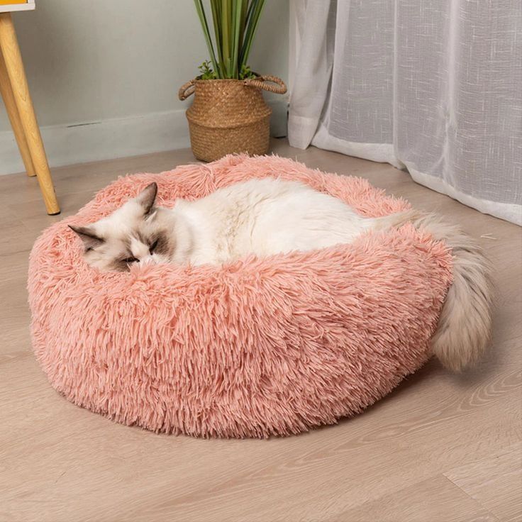 KATZELIEBE™ Katzenbett Wolke 7 - das Original®