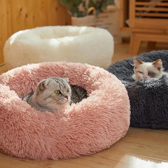 KATZELIEBE™ Katzenbett Wolke 7 - das Original®